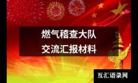 燃气稽查大队交流汇报材料