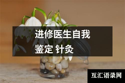 进修医生自我鉴定 针灸