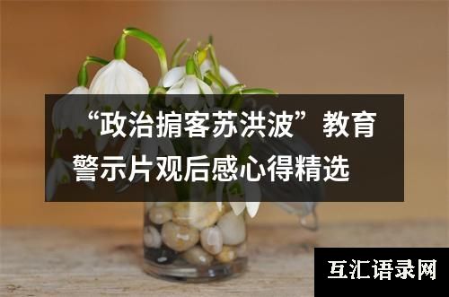 “政治掮客苏洪波”教育警示片观后感心得精选