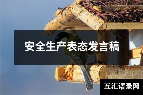 安全生产表态发言稿