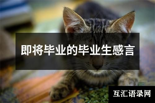 即将毕业的毕业生感言