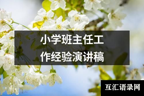 小学班主任工作经验演讲稿