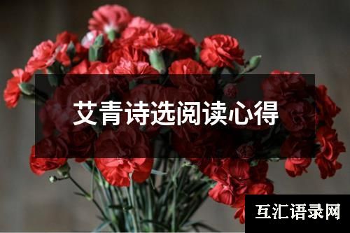 艾青诗选阅读心得