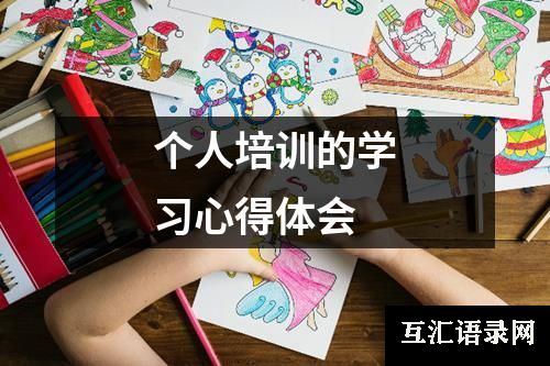 个人培训的学习心得体会