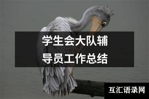 学生会大队辅导员工作总结