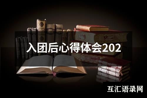 入团后心得体会202