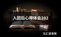 关于入团后心得体会202（共19篇）