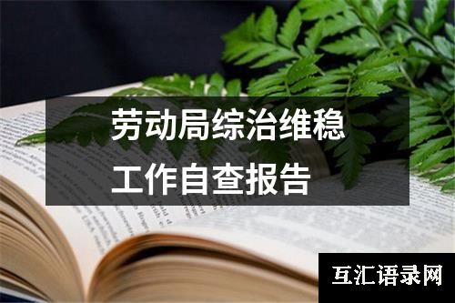 劳动局综治维稳工作自查报告