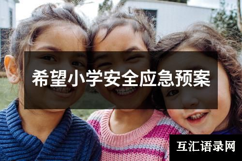 希望小学安全应急预案