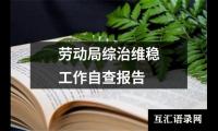 关于劳动局综治维稳工作自查报告（精选14篇）