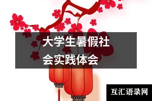 大学生暑假社会实践体会