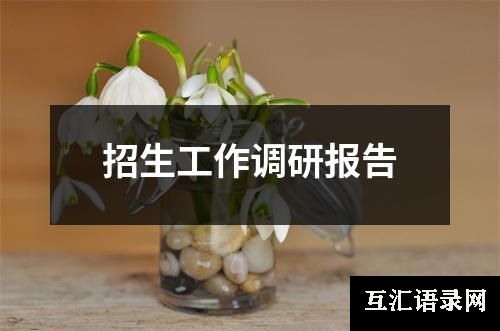 招生工作调研报告