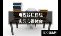 关于电视台栏目组实习心得体会（精选17篇）