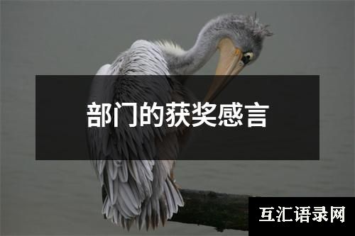 部门的获奖感言