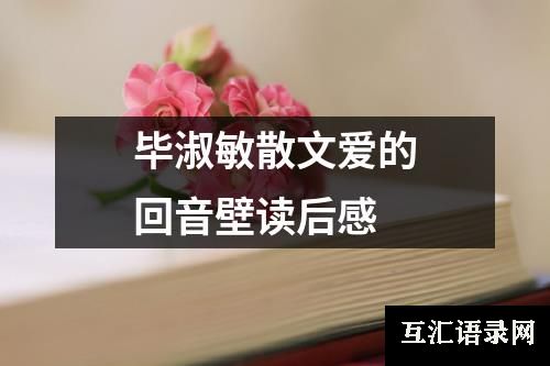 毕淑敏散文爱的回音壁读后感