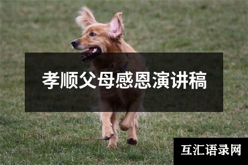 孝顺父母感恩演讲稿