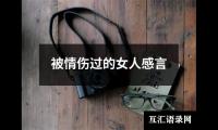 关于被情伤过的女人感言（精选17篇）