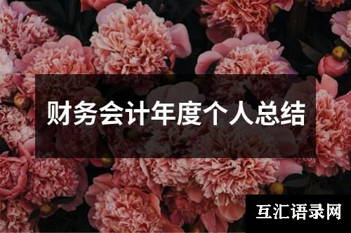 财务会计年度个人总结