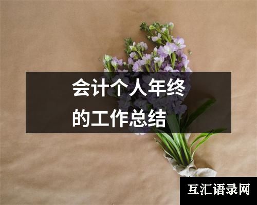 会计个人年终的工作总结