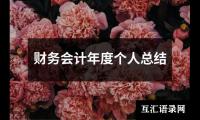 财务会计年度个人总结