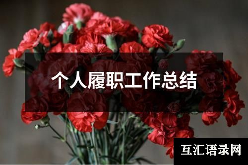 个人履职工作总结