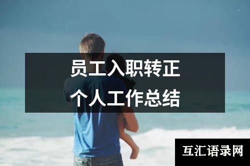 员工入职转正个人工作总结