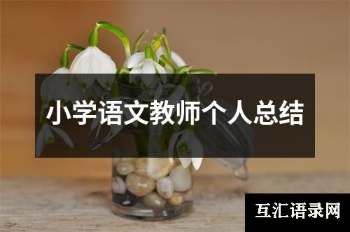 小学语文教师个人总结