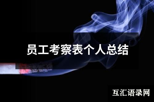 员工考察表个人总结