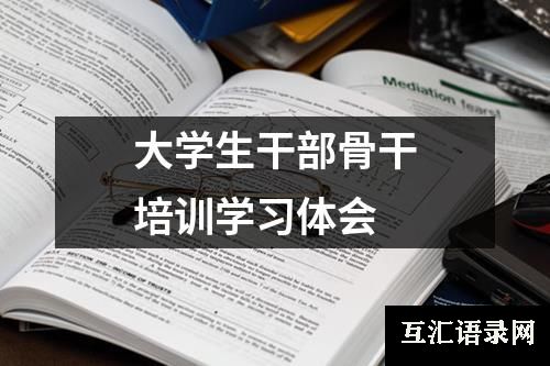 大学生干部骨干培训学习体会