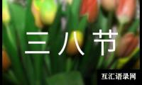 三八节经典祝福语310句