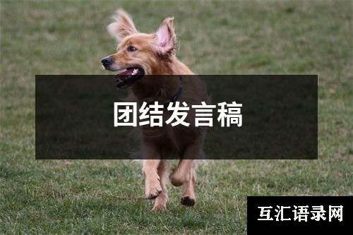 团结发言稿