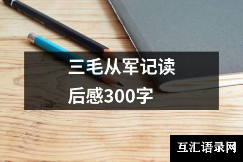 三毛从军记读后感300字