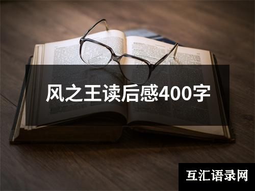 风之王读后感400字