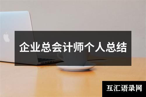 企业总会计师个人总结