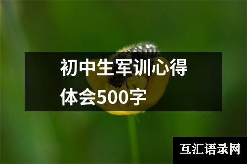 初中生军训心得体会500字