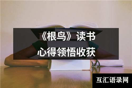 《根鸟》读书心得领悟收获