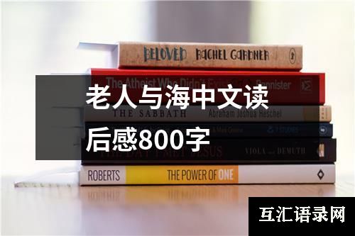 老人与海中文读后感800字