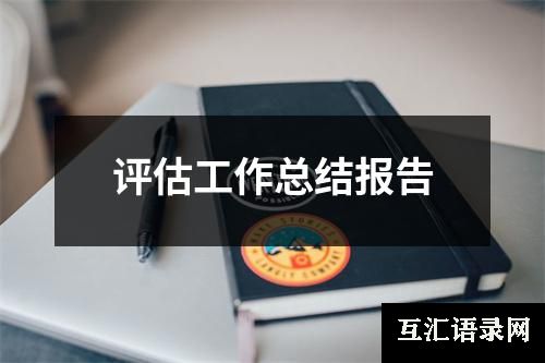 评估工作总结报告