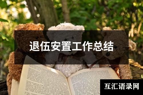 退伍安置工作总结