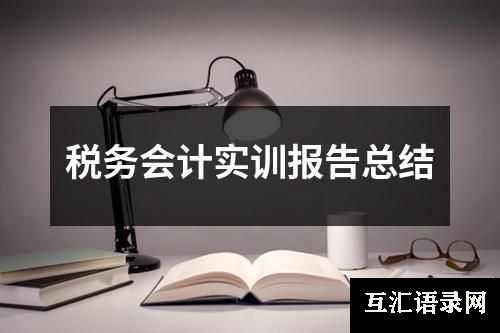 税务会计实训报告总结