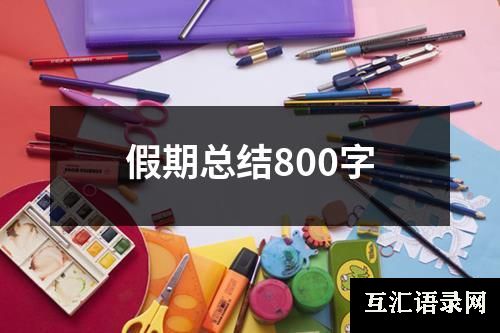 假期总结800字