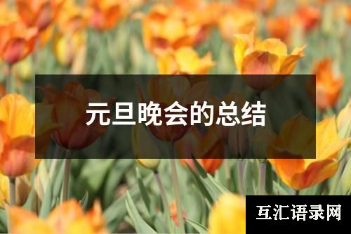 元旦晚会的总结