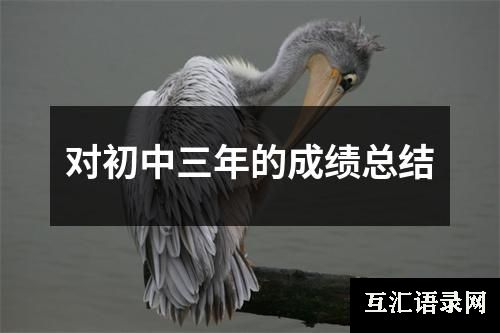 对初中三年的成绩总结