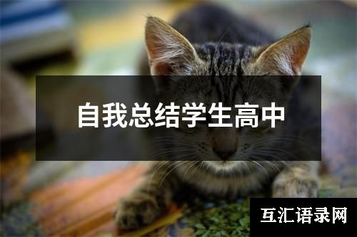 自我总结学生高中