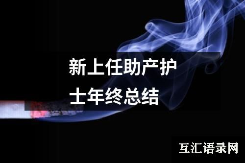 新上任助产护士年终总结