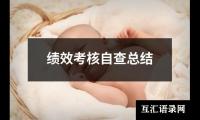 关于绩效考核自查总结（精选18篇）