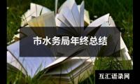 关于市水务局年终总结（整理12篇）