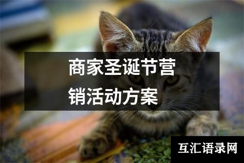 商家圣诞节营销活动方案