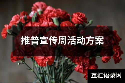 推普宣传周活动方案