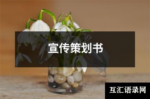 宣传策划书